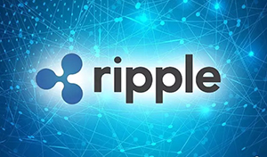 How does the Ripple network operate?